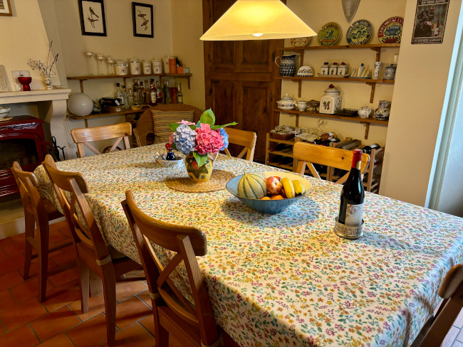 Summertime Oilcloth tablecloth
