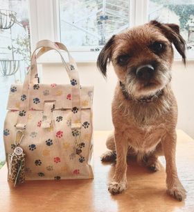 Paw Prints Oilcloth – Perfect for Dog Lovers!