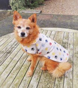 Paw Prints Oilcloth – Perfect for Dog Lovers!