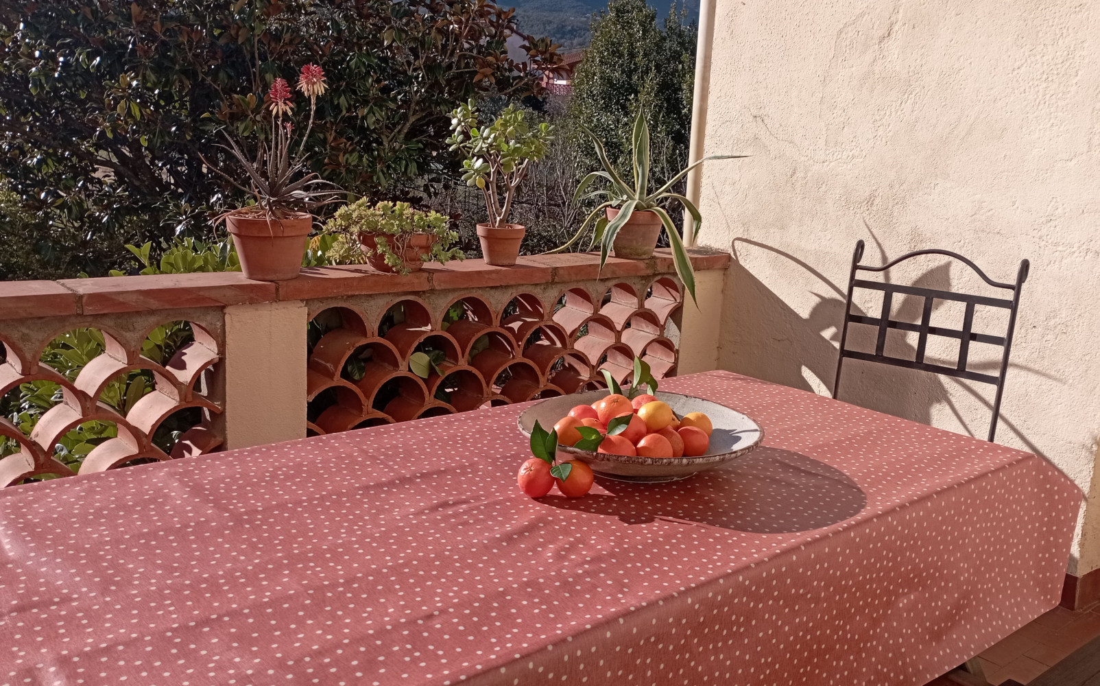 Spot on Paprika Oilcloth tablecloth